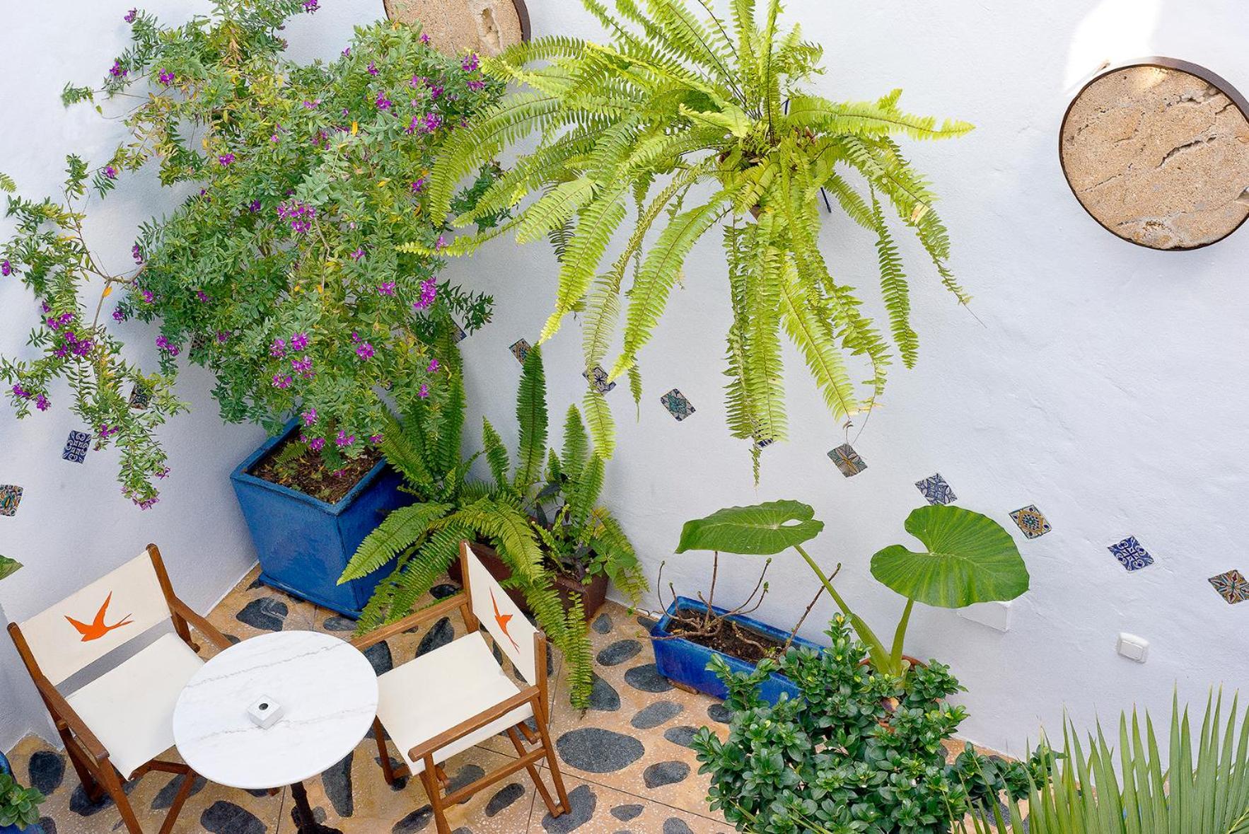 Hostal Casa Alborada Conil De La Frontera Exteriör bild