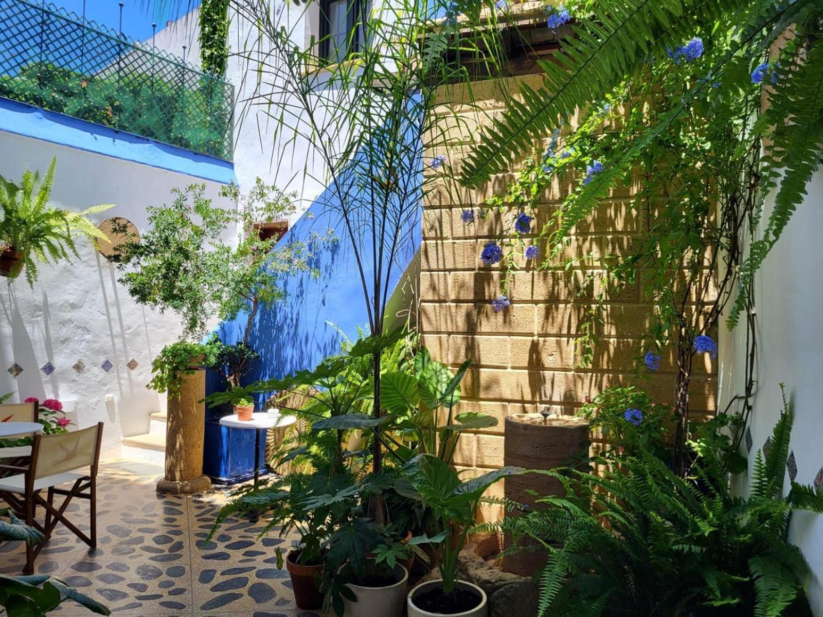Hostal Casa Alborada Conil De La Frontera Exteriör bild