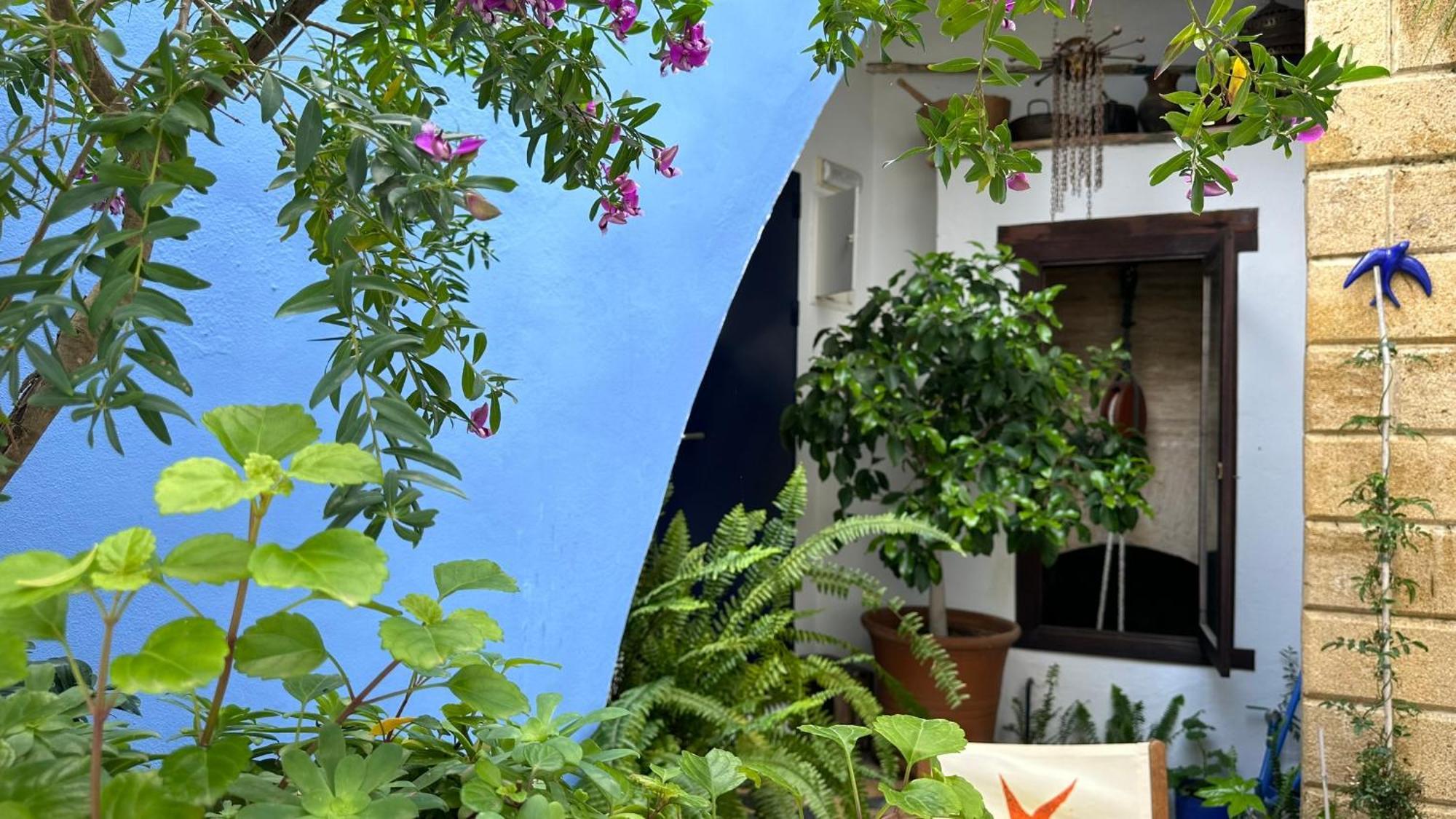 Hostal Casa Alborada Conil De La Frontera Exteriör bild